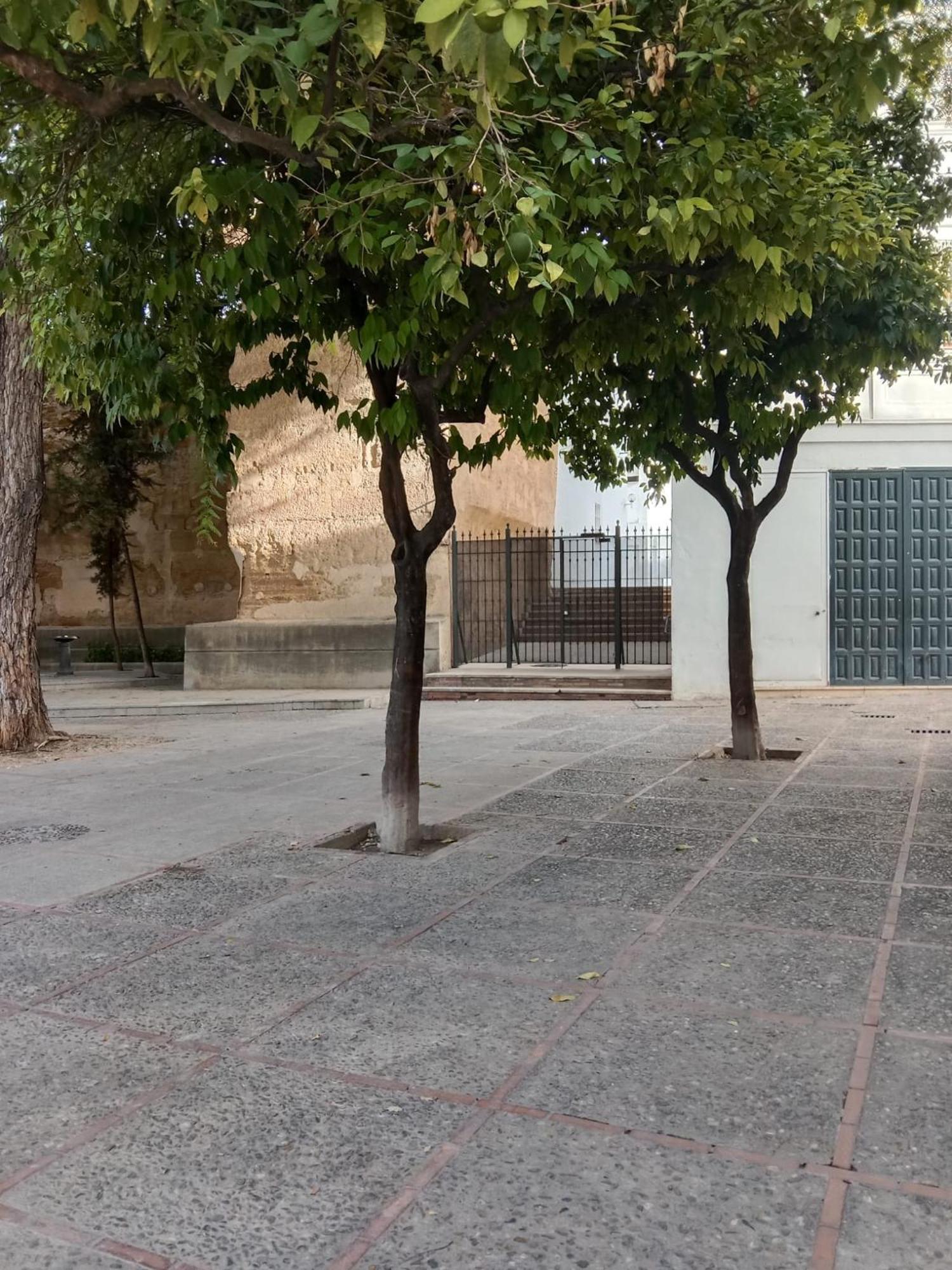 Апартаменты Casa Mnuela - Centro Jerez - Parking Opcional Херес-де-ла-Фронтера Экстерьер фото